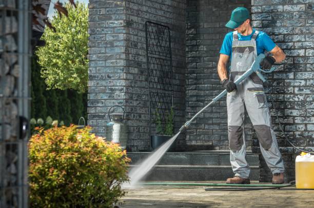 Best Gutter Cleaning  in Bellevue, OH